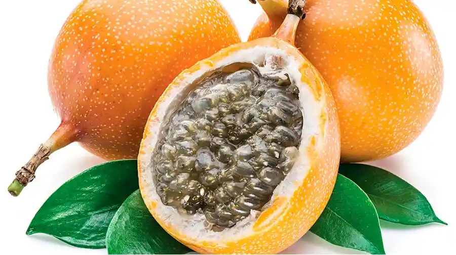 Granadilla